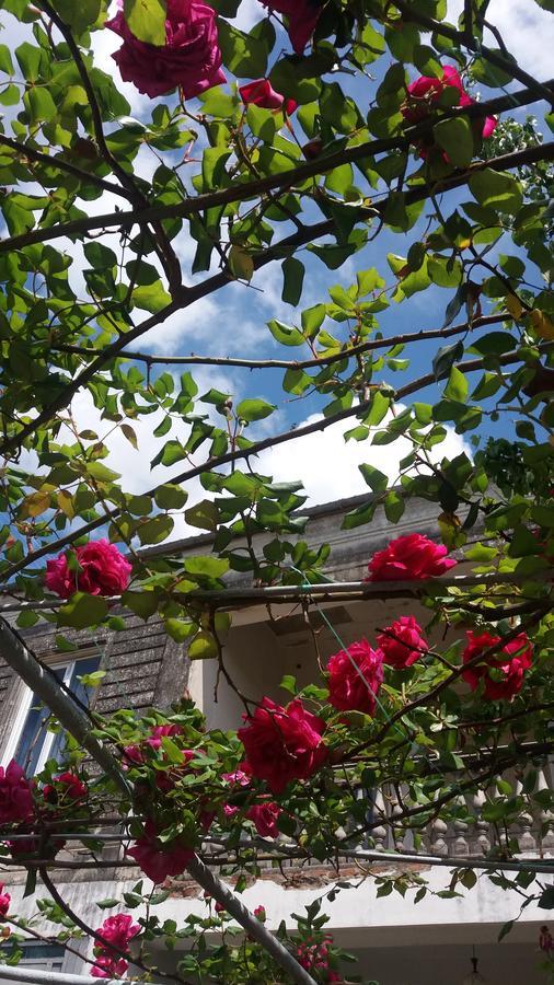 Guest House T&N 库塔伊西 外观 照片